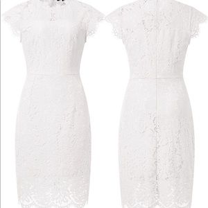 Women's Sleeveless Lace Floral Elegant Cocktail Dress Crew Neck Knee Length